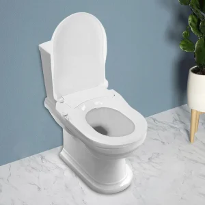 Smart Toilet Seat Bidet hygienic way to be heathy and save money dependence on toilet paper