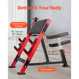 Preacher Curl Bench