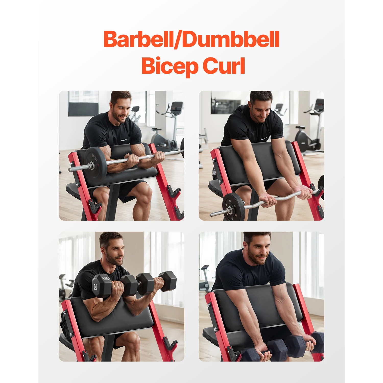 Preacher Curl Bench - Image 3